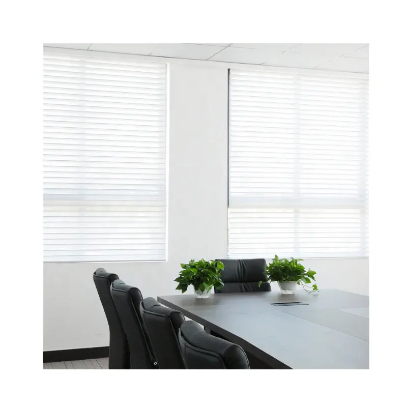 Bons produtos dupla camada cortina de tela macia blackout e respirável zebra cego para janelas do escritório do banheiro