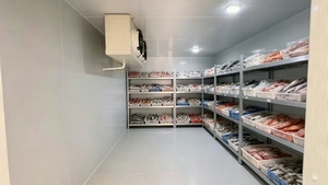 <span class=keywords><strong>Chambre</strong></span> Froide Industrielle pour Boucherie et Pêcherie, Stockage de Viande et de Poisson (<span class=keywords><strong>50</strong></span> Tonnes) - Vente Chaude Direct Usine - Product Image 5