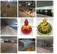 Nouveau Système d'Alimentation Entièrement Automatique avec Abreuvoirs à Tétine pour l'Élevage de Poulets de Chair