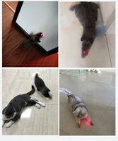 Jouet pour chat avec pointeur laser 2025, stylo infrarouge LED, entraînement, jeux interactifs pour chat, accessoires intéressants, fournitures pour animaux de compagnie