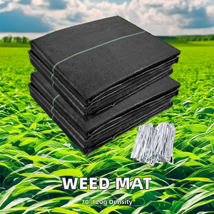 Trung Quốc bán buôn tùy chỉnh-kích thước 90gsm-120gsm PP Weed Mat rào cản dệt nhựa mulch chống UV vải với bản vẽ dịch vụ xử lý - Product Image 2