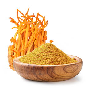 공장 고품질 유기농 동충하초 추출물 분말 30% 다당류 동충하초 추출물 벌크 - Product Image 1