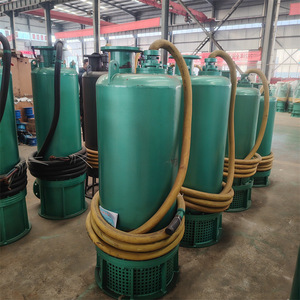 Bomba Sumergible Antiexplosión y a Prueba de Explosiones para Drenaje de Arena 660v BQS900-20-90KW para Uso en Minas - Product Image 1