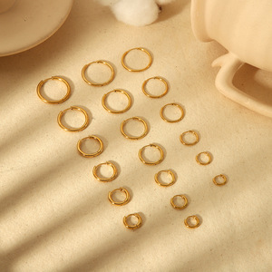 ต่างหูห่วงไทเทเนียมชุบทอง 18k สำหรับทุกเพศ ใส่ได้ทุกวัน ซัมเมอร์ 2024 ผลิตที่เมืองอี้หวู่ รุ่น TE6018-2-10 - Product Image 1