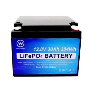 Batteria al litio 12V 30Ah LiFePO4 con piccole dimensioni e peso leggero BMS incorporati e grado di celle 10 anni di vita