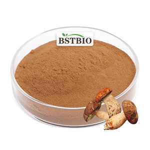 BSTBIO Polvo de Hongo <span class=keywords><strong>Boletus</strong></span> Edulis de Alta Calidad, Polisacárido 30%, Extracto de Hongo Porcini - Product Image 1