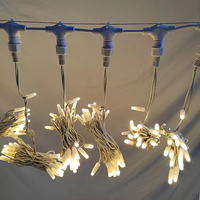 IP65 étanche LED rideau lumière 2*3m 300LED extérieur fée LED mur lumière détachable ligne en caoutchouc