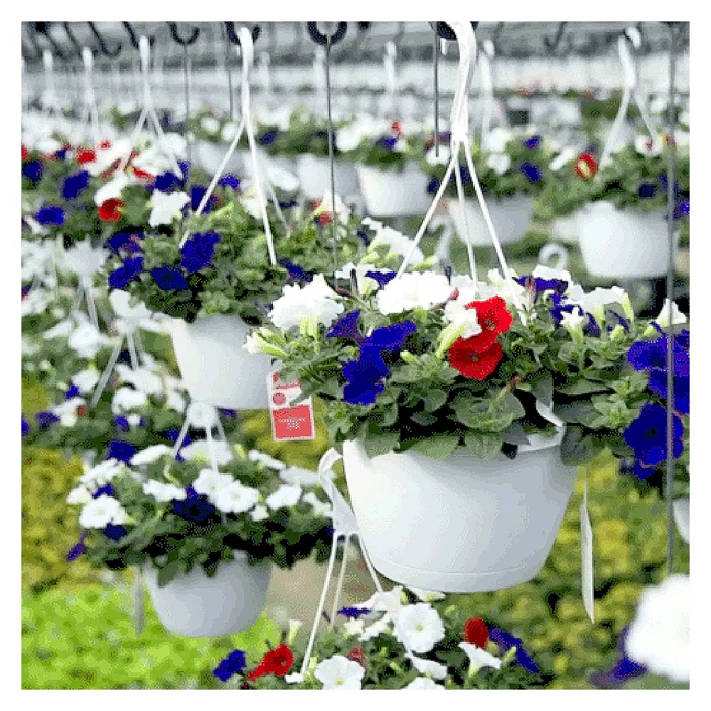 Gardening Products hanging basket colorful flower pot macetas colgantes hanging balcony plant pots for sale