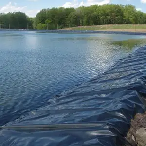 Hoge Kwaliteit Vijver Liner Hdpe Geomembrane Voor Vis Fram En Dam Bescherming Geomembraan