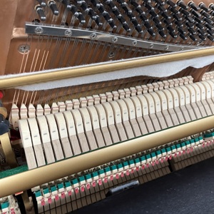 <span class=keywords><strong>Piano</strong></span> droit japonais KAWAI NS15 avec un son chaud et rond, une gamme moyenne complète, des surtones riches et un contrôle de touche précis - Product Image 4