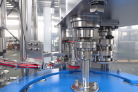 Machine automatique de remplissage et de bouchage de liquides, 12 têtes, bouchon à vis, acier inoxydable, sans bouteille, sans remplissage, pour boissons non gazeuses
