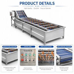 เครื่องล้างกล้วยและมะม่วงแบบฟองอากาศ JOYSHINE ขายดีในฟิลิปปินส์ - Product Image 3