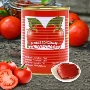 Pasta enlatada do tomate para África em 70g 210g 400g 800g 2200g