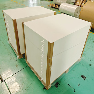 Cupstock PE đôi-tráng gỗ bột giấy giấy cuộn nguyên liệu cho Baking <span class=keywords><strong>Paper</strong></span> cups & in Offset cho thực phẩm bánh đường sử dụng - Product Image 4