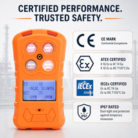 Détecteur de gaz multi-fonctions professionnel HIREP 4 en 1, portable, rechargeable, CO, H2S, O2, LEL, moniteur de sécurité industrielle, vente en gros OEM
