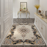 Tapis de porte en polypropylène antidérapant personnalisé OEM populaire, design moderne décoratif, utilisation intérieure/extérieure, certifié OEKO-TEX