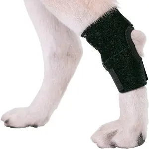 Thấp moq Dog Brace Set nhà sản xuất siêu hỗ trợ điều chỉnh Dog Rear Leg cú đúp đầu gối với kim loại kép mùa xuân Strips