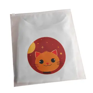 Coloured Clothing Packaging Frosted Plastic Pvc Zipper Wholesale China Reusable Recyclable Small Ziplock Bag