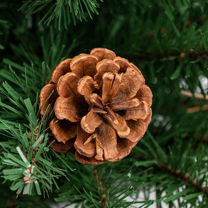 Ornement Co-Arts Aiguille artificielle Pin Arbre de Noël - Product Image 4