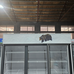 Biểu tượng tùy chỉnh Trung Quốc giá rẻ giá hikitchen Made mềm Wine uống cửa duy nhất Cooler tủ lạnh hiển thị - Product Image 6