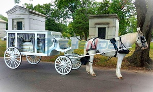 Glass Covered White Funeral Hearse Electric Horse Carriage Horse-drawn Coffin Carriage Electric Funeral Buggy - Product Image 2