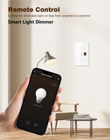 Gradateur intelligent pour ampoules LED à incandescence, Wi-Fi à un seul groupe