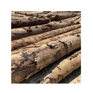 Günstigster Preis Furnier Log Holz Typ Runde Form Chengal Log Geeignet für Gebäude/Bau/Möbel