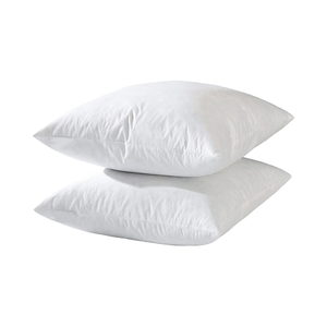 Tùy Chỉnh <span class=keywords><strong>24X24</strong></span> Euro Ném Gối Chèn Truyền Thống Bông Vải Thân Thiện Với Môi Có Thể Giặt Dây Kéo Đóng Cửa Trang Trí Nội Thất - Product Image 1