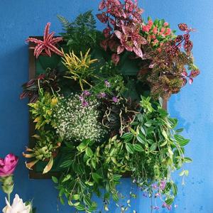 Decoración de Pared, Marco para Fotos, Jardín Vertical, Macetas para Flores - Product Image 4