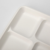 En gros Personnalisé 100% Compostable 5 Compartiment Jetable Canne à Sucre Bagasse Assiettes Plateau pour L'école Déjeuner Fête