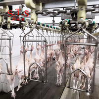 Nouvel Équipement d'Abattage de Poulets Halal Clé en Main pour Abattoir Volaille, Ligne de Production d'une Capacité de 1000 Par Heure