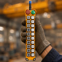 Télécommande radio industrielle étanche IP65 à 20 boutons, style Telecrane F24-20S, à vitesse unique, pour pont roulant