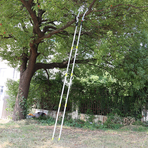 <span class=keywords><strong>Perche</strong></span> télescopique en aluminium réglable de 1,6 m à 2 sections avec conception écologique pour ébrancheurs et <span class=keywords><strong>cueillette</strong></span> de fruits - Product Image 3