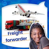 Agent maritime professionnel Chine-Cameroun, transport maritime et aérien express, transit en 7-10 jours, assurance, manutention de marchandises dangereuses, EXW CIF 24/7