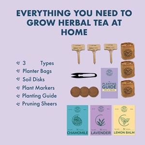 Kit Decorativo <span class=keywords><strong>Fai</strong></span>-<span class=keywords><strong>da</strong></span>-<span class=keywords><strong>te</strong></span> per Coltivazione a Parete Organica, Kit per Coltivazione di Tè, Vaso per Fiori di Design, Fibra Vegetale per Piante <span class=keywords><strong>da</strong></span> Interno - Product Image 2