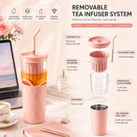 Gobelet infuseur à thé en acier inoxydable 304 avec paille, filtre amovible, anti-fuite, double paroi isolée, pour thé aux fruits, tasse de voyage