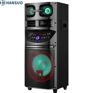 Hansuo Hot Bán 12Inch Có Thể Sạc Lại Xe Đẩy Loa Cho Karaoke Rạp Hát Tại Nhà Hệ Thống HS-TS12K8