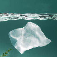 Serviette compressée personnalisée de voyage portable Serviette faciale en fibre végétale confortable pour la peau Serviette de visage d'hôtel en gros