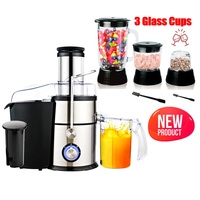 Extracteur de jus multifonction puissant et robuste en acier inoxydable 12 en 1