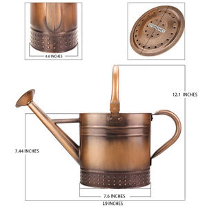 3L उद्यान पानी डिब्बे जस्ती धातु पानी कर सकते हैं के साथ तांबा इनडोर और आउटडोर बागवानी के लिए उभरा विंटेज डिजाइन - Product Image 4