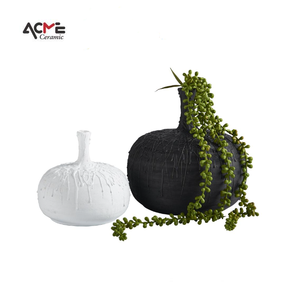 Decorazione della casa minimalista <span class=keywords><strong>vaso</strong></span> di lusso decorazioni per la casa accessori interni <span class=keywords><strong>vaso</strong></span> in ceramica bianca nera <span class=keywords><strong>Cactus</strong></span> - Product Image 2
