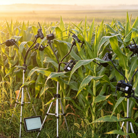 Réseau de capteurs de fluorescence distribués pour la détection de phénotypage extérieur, destiné à la surveillance des cultures agricoles et à l'agriculture intelligente
