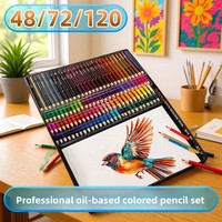 Lot de crayons gras 48/72/120 couleurs en boîte PP – Fournitures d'art pour l'école, les étudiants, le graffiti et la peinture – Vente en gros personnalisée