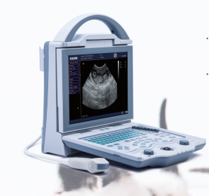 Equipo Veterinario, Sistema de Ultrasonido Doppler a Color, Certificado CE Clase 2, Garantía de 2 Años para Uso Médico, Funkeep - Product Image 2