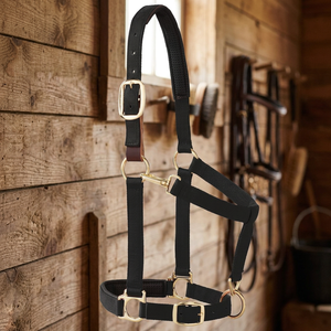 SAISHAS Harnais de Selle Anglaise pour Cheval, en Nylon Durable avec Muserolle Rembourrée, Quincaillerie en Cuir Robuste, Confortable pour Usage Quotidien, Personnalisable - Product Image 2