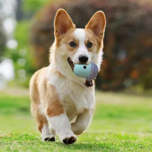 Nuovo 2023 cane che gioca a Slow Feeder Training Dog Chew Toy facile da pulire autointerazione Pet Dog Leakage Food Toy