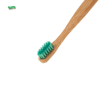 Soins bucco-dentaires, lot de 4 brosses à dents en gros, certifiées CE ISO, poils en nylon, logo personnalisé