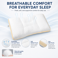 Oreiller ergonomique de soutien du cou, oreiller contour respirant à couche d'air, garnissage doux, oreiller de lit lavable pour dormeurs sur le dos et sur le côté