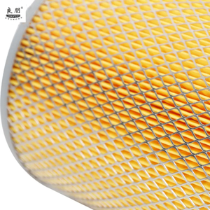 Filtro de aire de motor de <span class=keywords><strong>Venta</strong></span> caliente de fábrica 16546-T3401 para <span class=keywords><strong>Nissan</strong></span> Truck <span class=keywords><strong>Atlas</strong></span>/Isuzu - Product Image 3