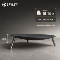 Plaque de cuisson ronde portable pour barbecue, ustensile de cuisson de table pour camping en plein air, jardin et patio